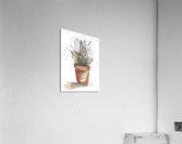  Lavender Watercolor Acrylic Print