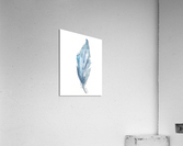 Blue Watercolor Feather Acrylic Print