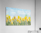Yellow Tulip Field Acrylic Print