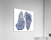Blue Oysters  Acrylic Print