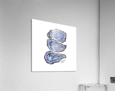 Triple Oysters Acrylic Print