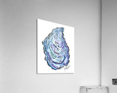 Fancy Oyster   Acrylic Print