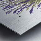 Lavender Watercolor Metal print