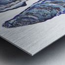 Blue Oysters  Metal print