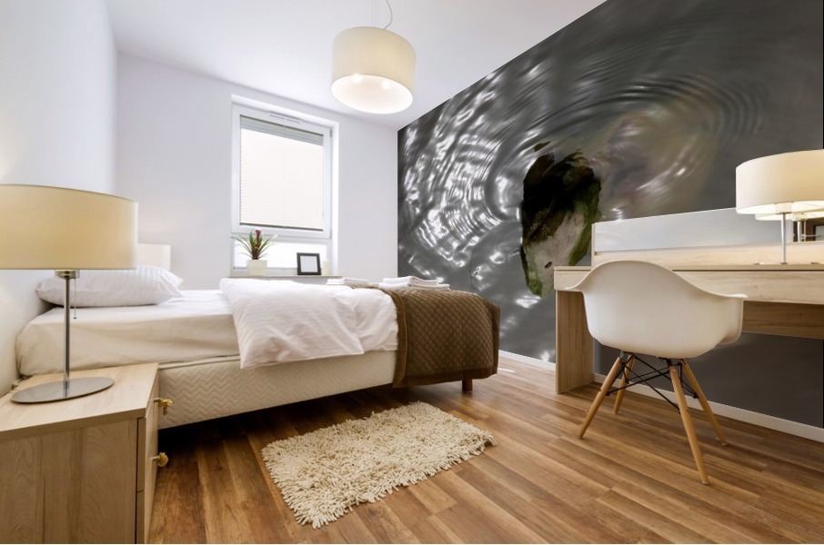 A Thirsty Stone Mural print