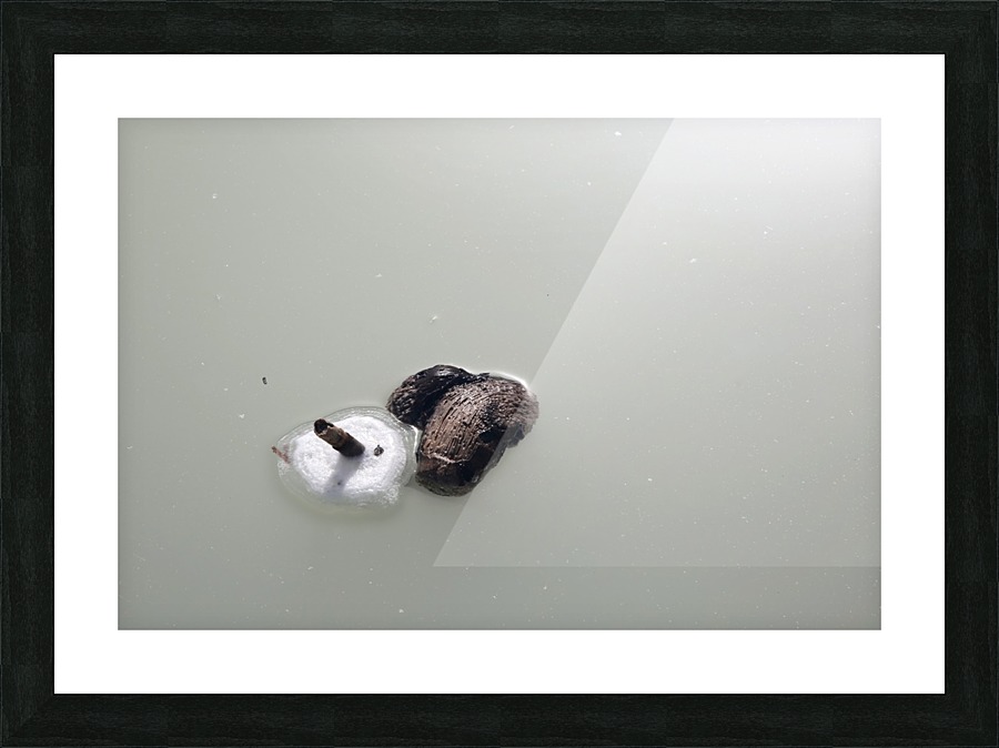 The Dead Sea Picture Frame print