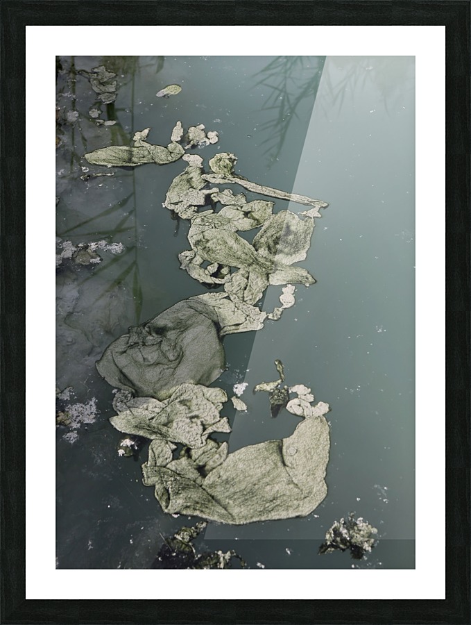 The Dead Sea Picture Frame print