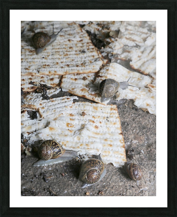 Passover Snails Picture Frame print