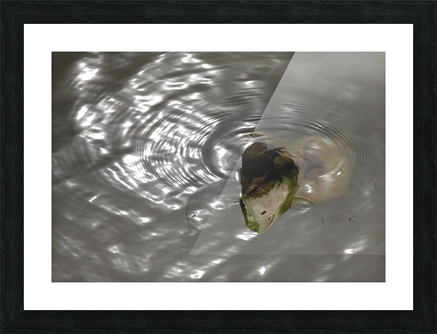 A Thirsty Stone Picture Frame print