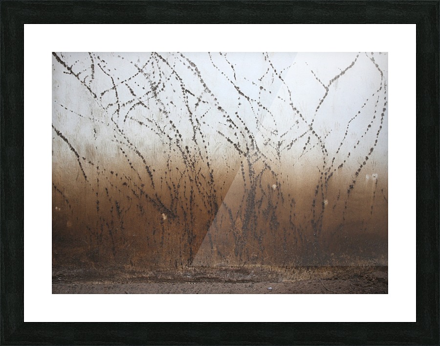 Traces Picture Frame print