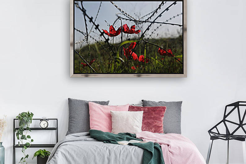 Anemone Flowers by Natasha Shakhnes