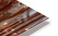 Arbutus HD Metal print