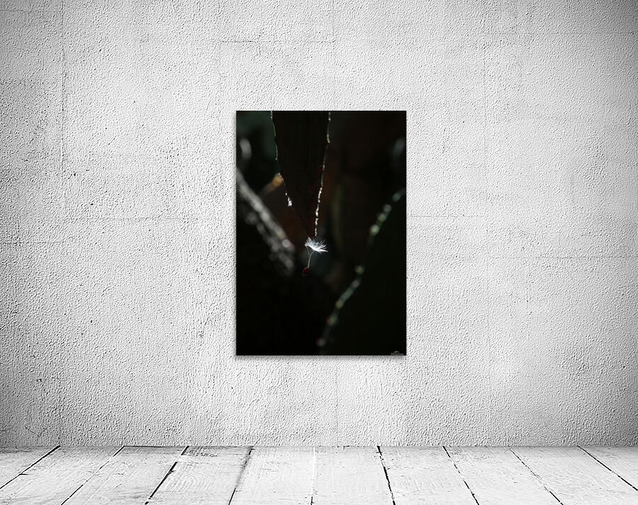Floating Wall Preview