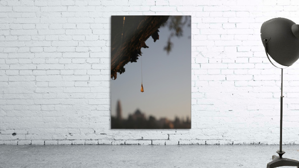 Amber Wall Preview