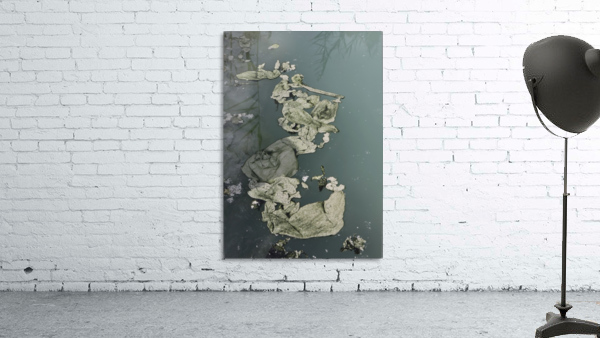 The Dead Sea Wall Preview