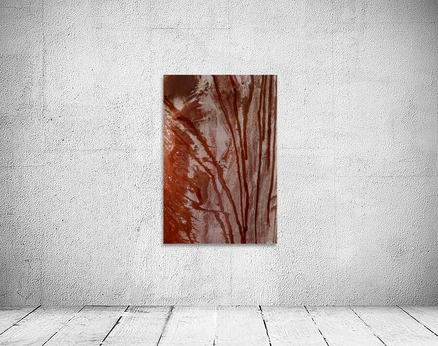 Arbutus Wall Preview