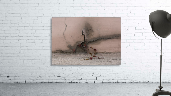 Crack Wall Preview