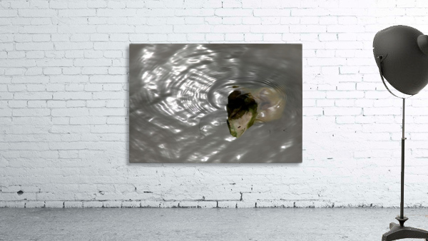 A Thirsty Stone Wall Preview