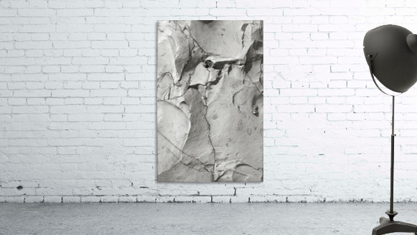 A Graceful Profile Wall Preview