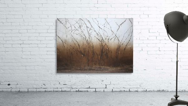 Traces Wall Preview