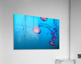 Underwater Light Dance. Acrylic Print