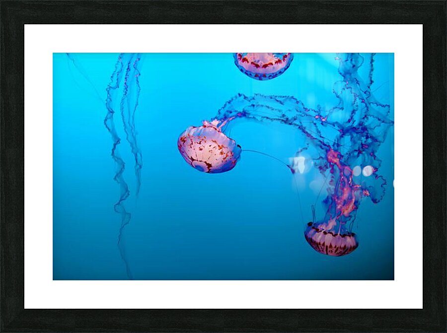 Underwater Light Dance. Picture Frame print