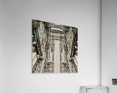 NYC - Chameleon 3 Acrylic Print