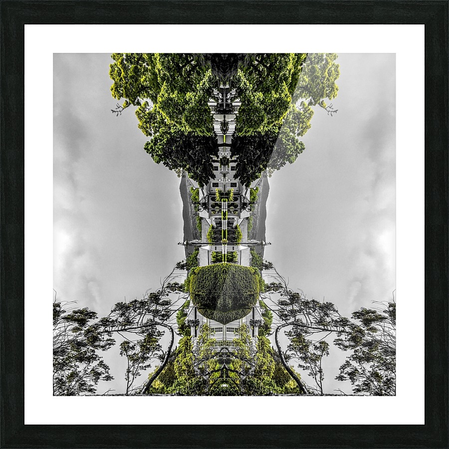 Paris - Trees  Picture Frame Printing