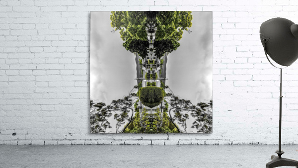 Paris - Trees  Wall Preview