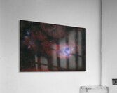 Lagoon Nebula Acrylic Print