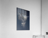 Perched Cloud Dragon Acrylic Print