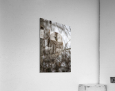 Sleepy Acrylic Print