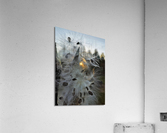 Milkweed Sundown Acrylic Print