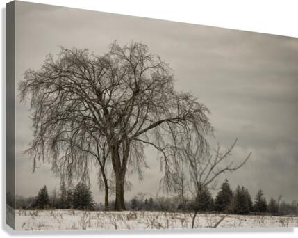 Rural Ottawa Canvas Print