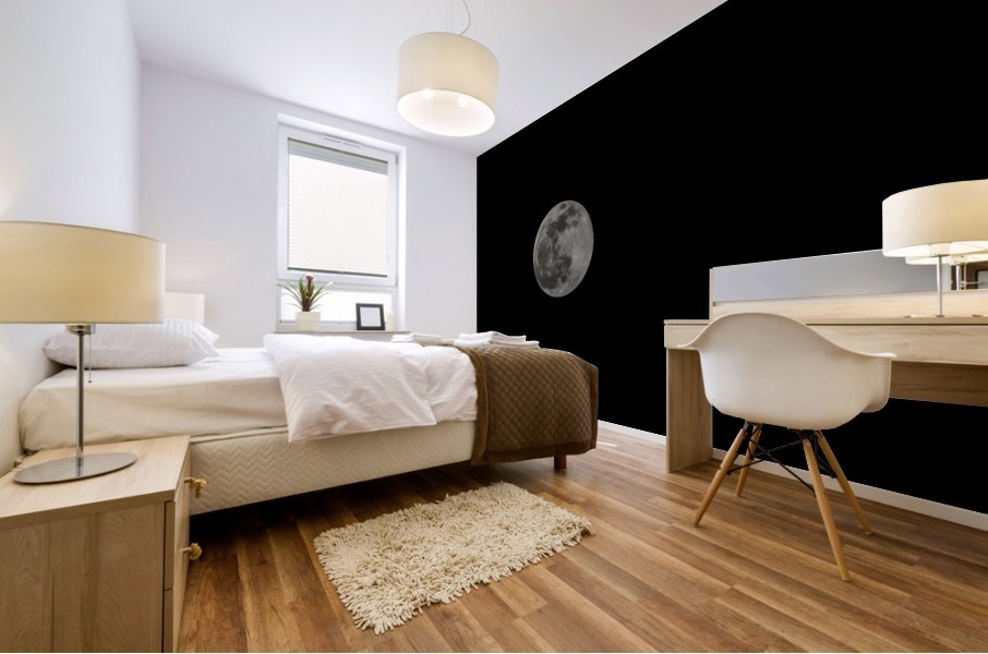 Full moon Mural print