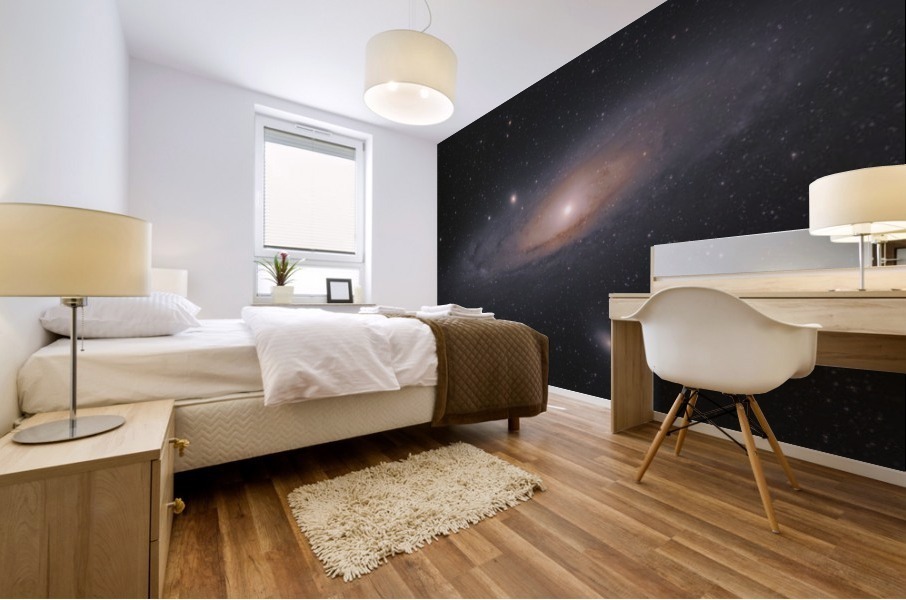 Andromeda Galaxy Mural print