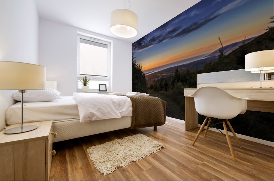 Slightly Beaten Path Mural print
