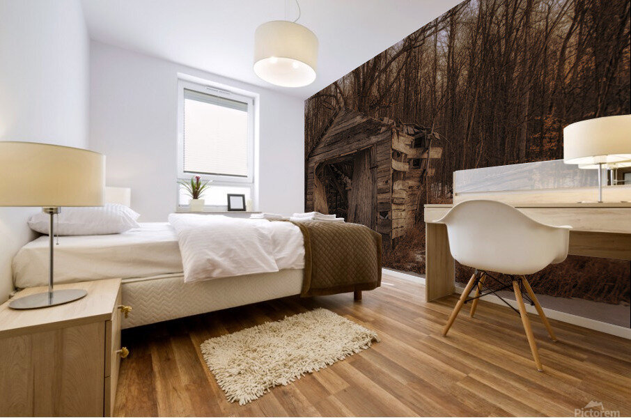 Forgotten Mural print
