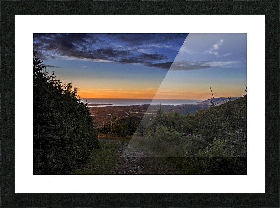 Slightly Beaten Path Picture Frame print