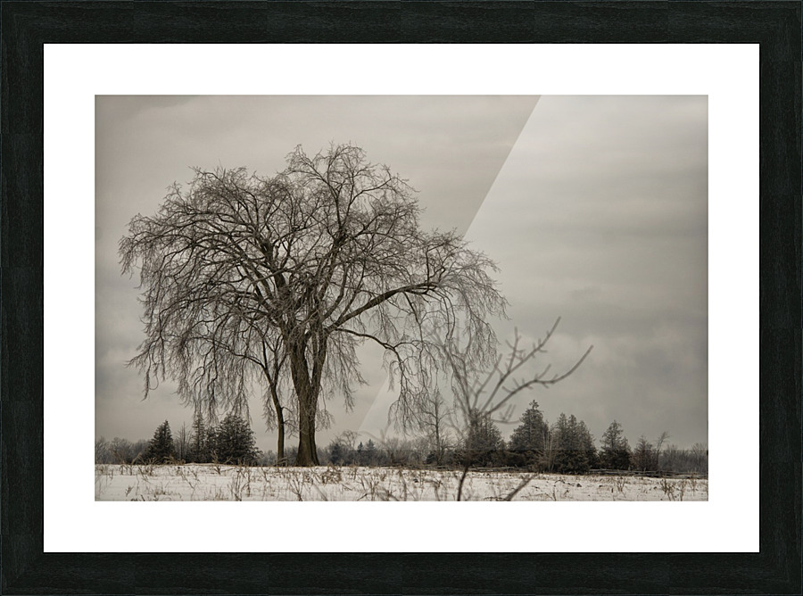 Rural Ottawa Picture Frame print