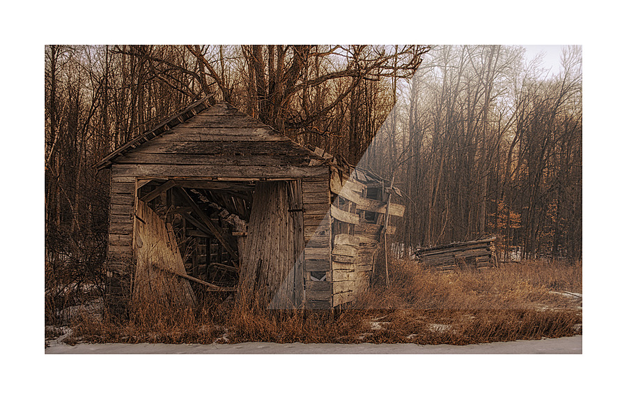 Forgotten Picture Frame print