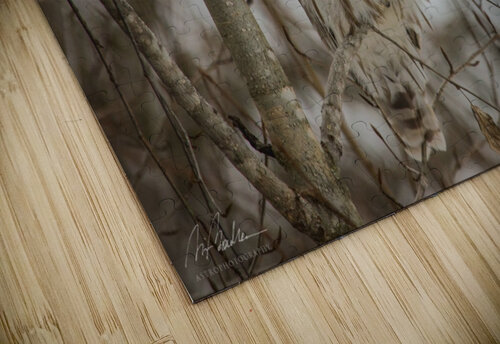 Barred Owl Richard Boudreau Photography puzzle
