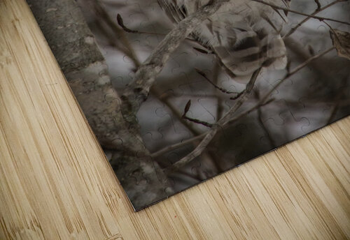 Sleepy Richard Boudreau Photography puzzle