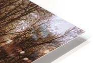 Forgotten HD Metal print