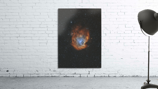 Monkey Head Nebula Wall Preview