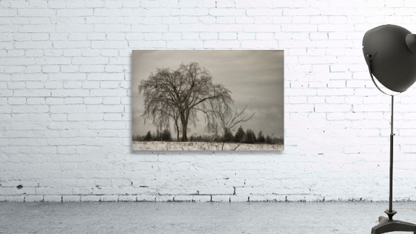 Rural Ottawa Wall Preview