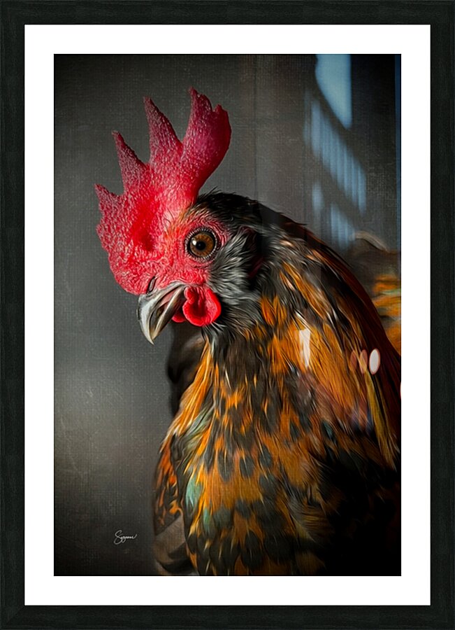 Willy the Rooster Picture Frame print