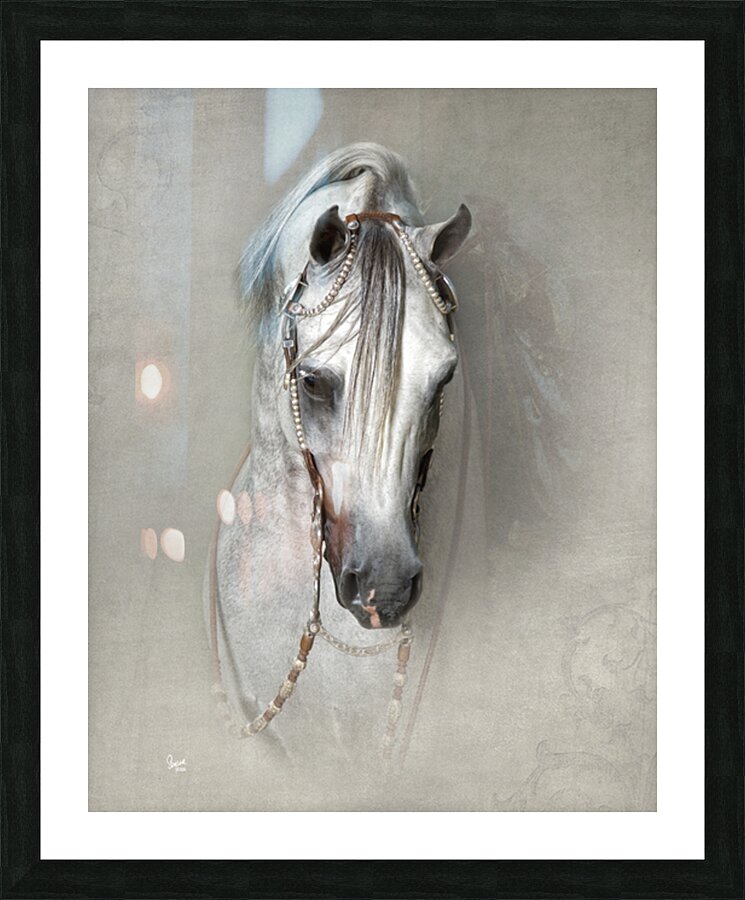 Grace in Leather Picture Frame print