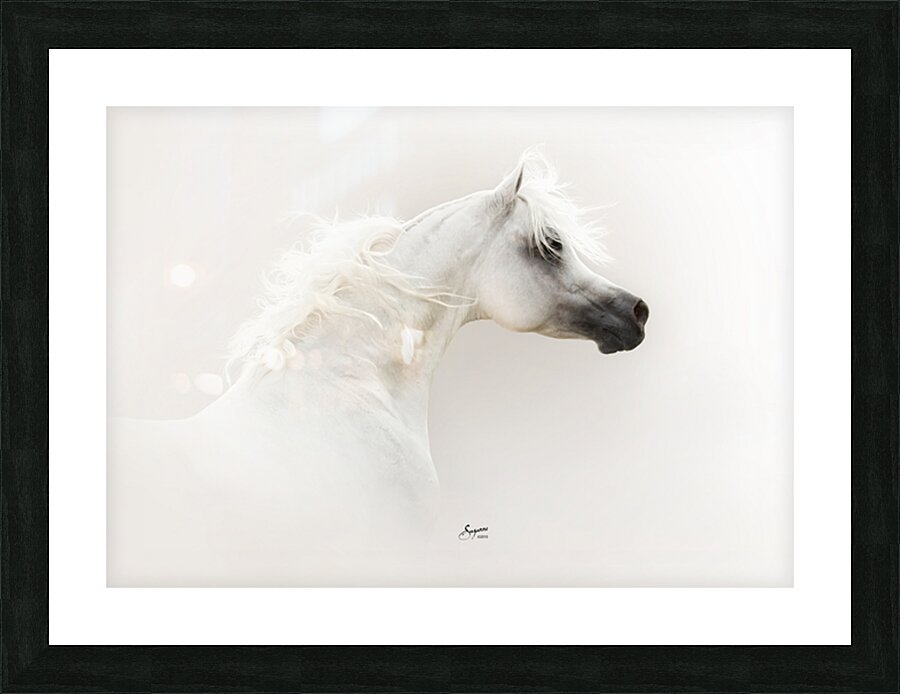 Mishaal HP  Picture Frame print