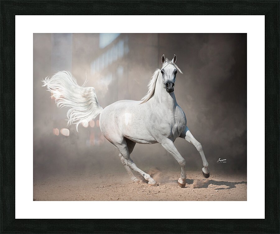 Alia  Picture Frame print